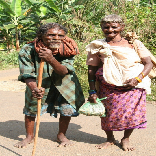 gallery/14keralanilamboor1